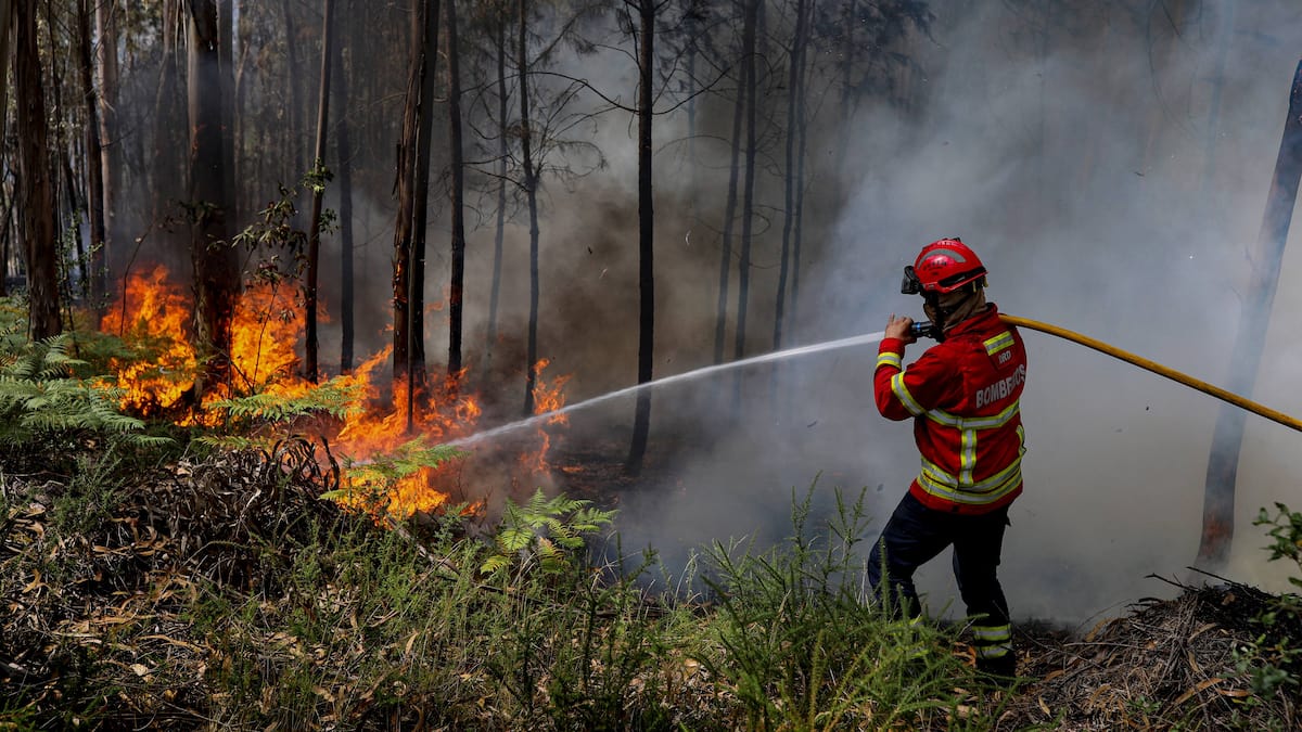 Un journaliste portugais traverse un incendie en pleine autoroute