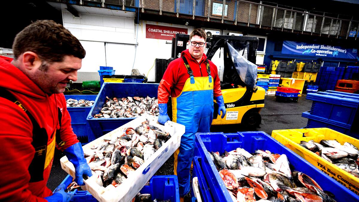 Les prix des produits marins gonflés par les difficultés d’approvisionnement