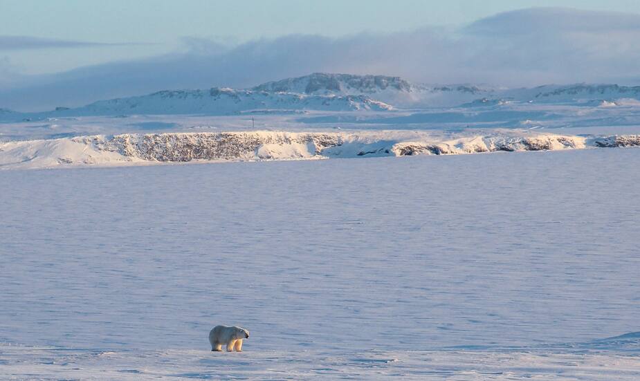 Image principale de l'article Le mercure grimpe en flèche dans l'Arctique