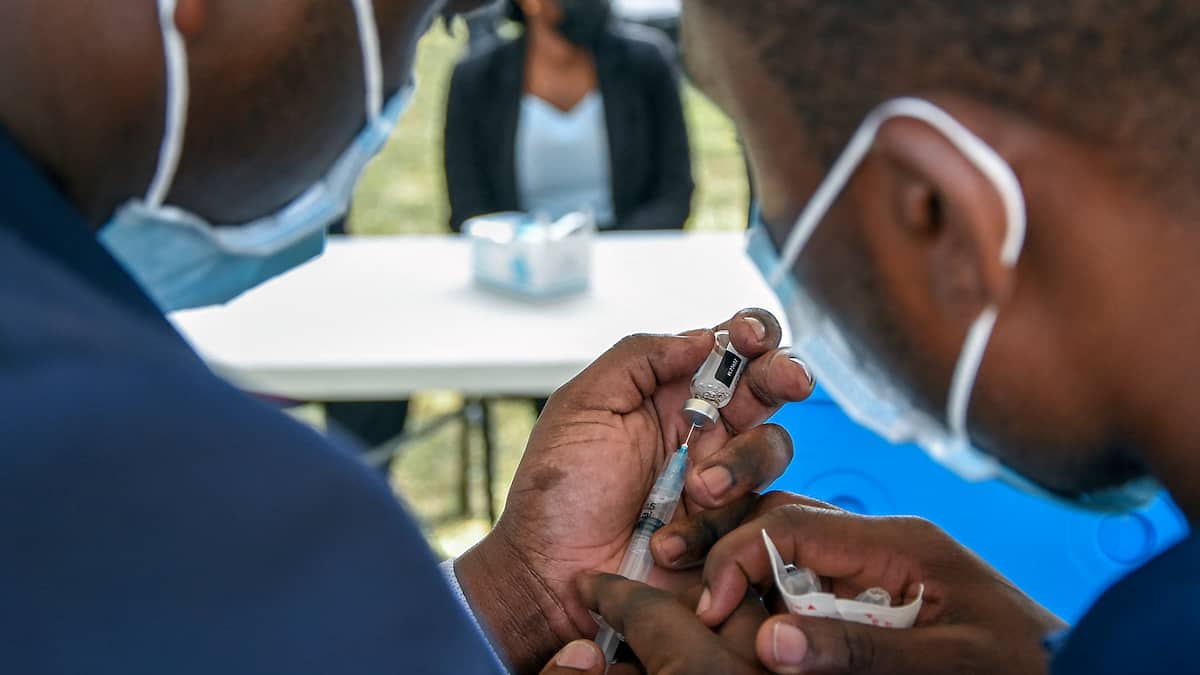 3 morts liés à la mystérieuse «maladie du rat»