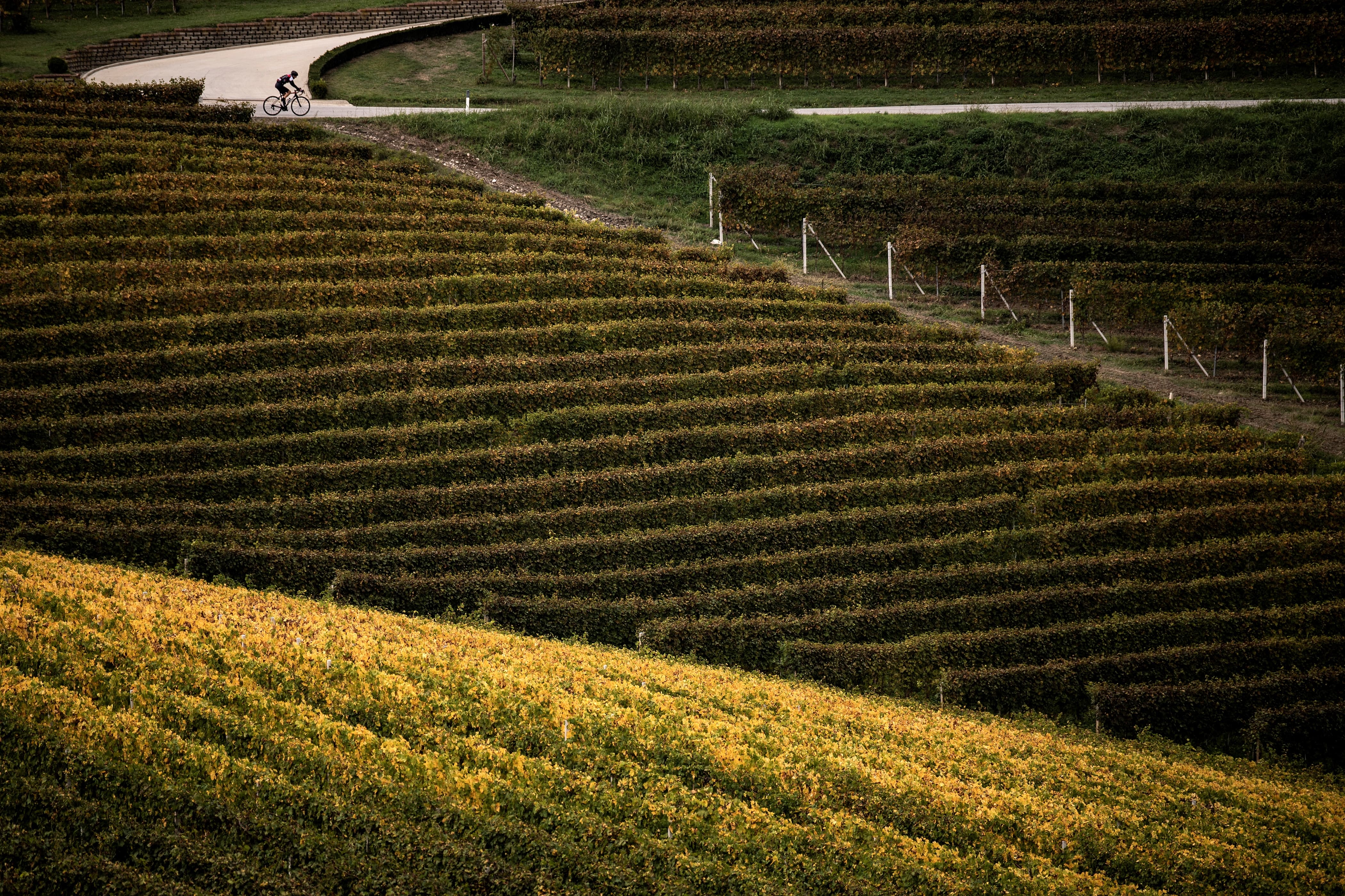 Apr&egrave;s le COVID, gare au prochain &laquo;choc&raquo; sur les syst&egrave;mes alimentaires
