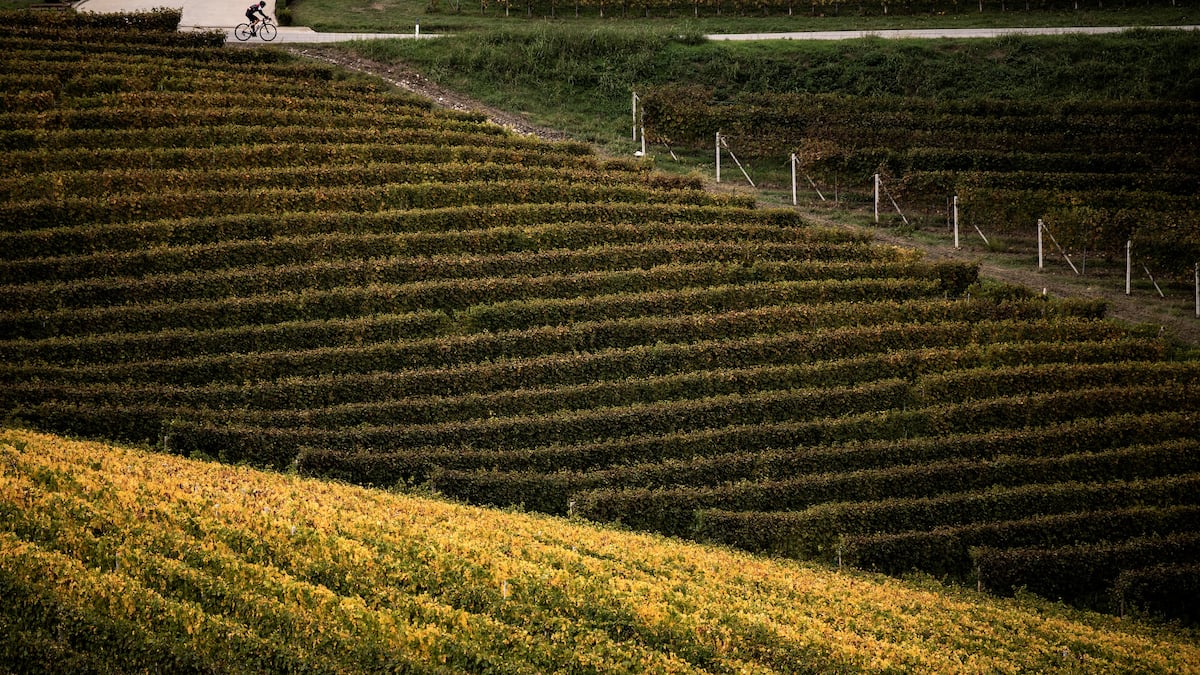 Après le COVID, gare au prochain «choc» sur les systèmes alimentaires