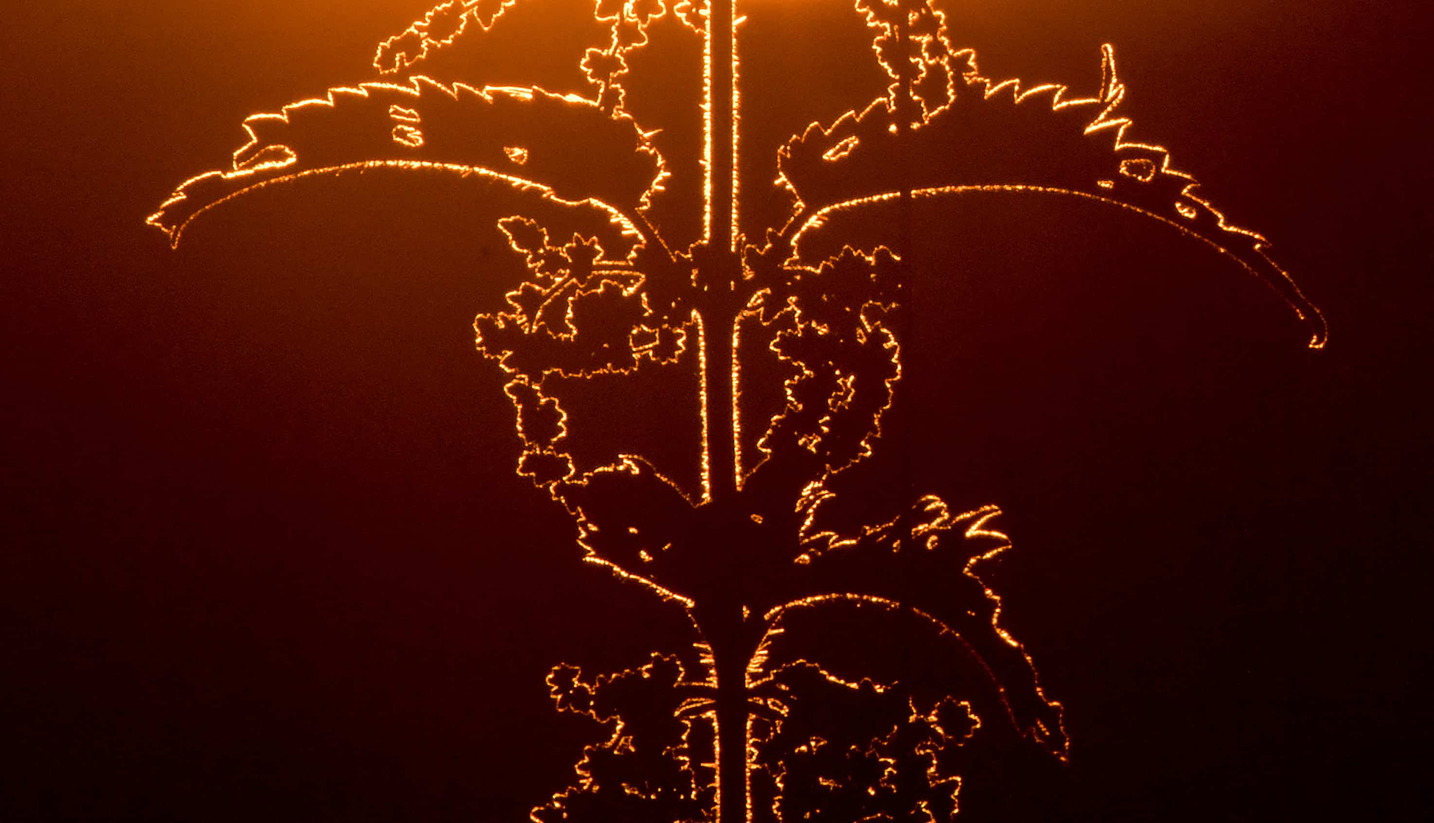 Nouvelle d&eacute;couverte &eacute;tonnante pour la cr&eacute;ation d&rsquo;un contraceptif masculin