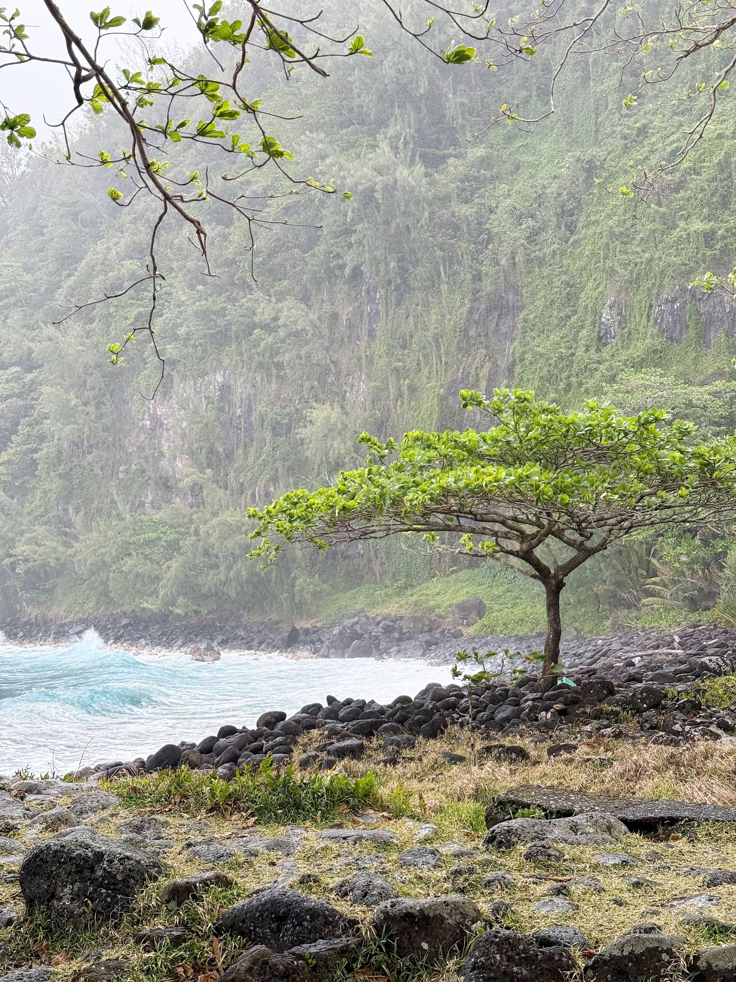 La Réunion : voyage sur une île spectaculaire de l'océan Indien