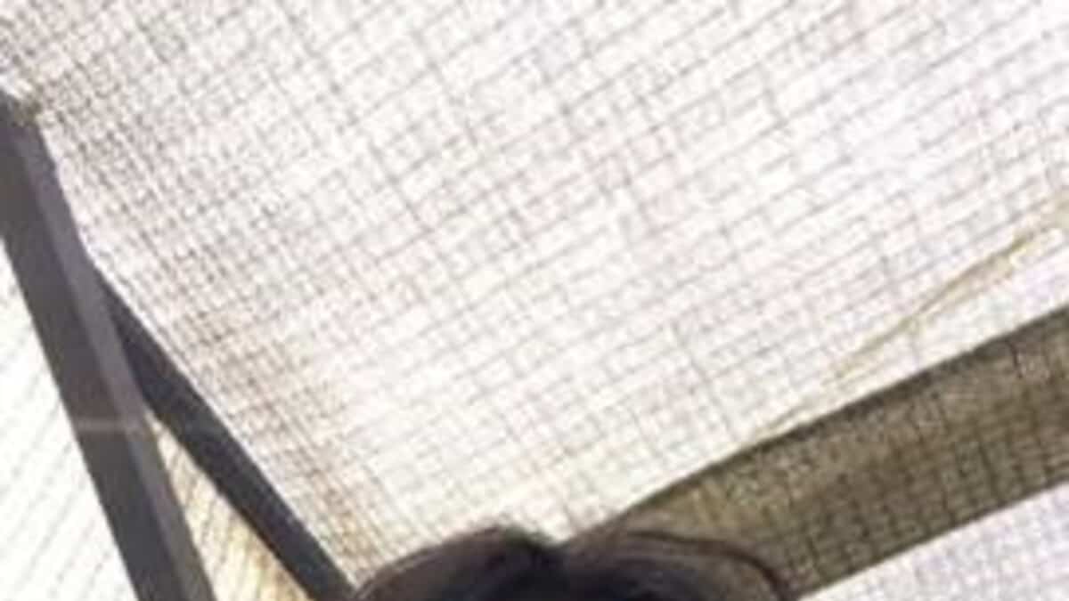 Un adolescent manque à l’appel depuis près d’un mois