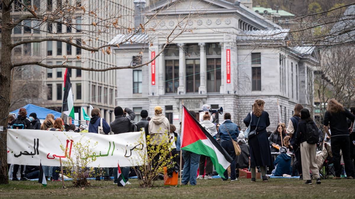 Campement propalestinien: une nouvelle offre de McGill aux manifestants