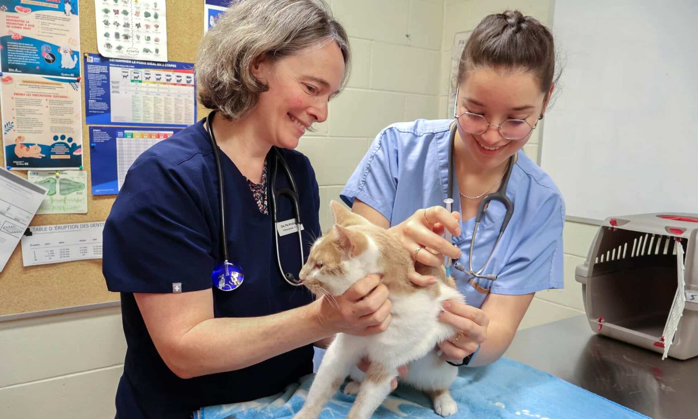Rage: faites vacciner vos animaux domestiques pour vous protéger