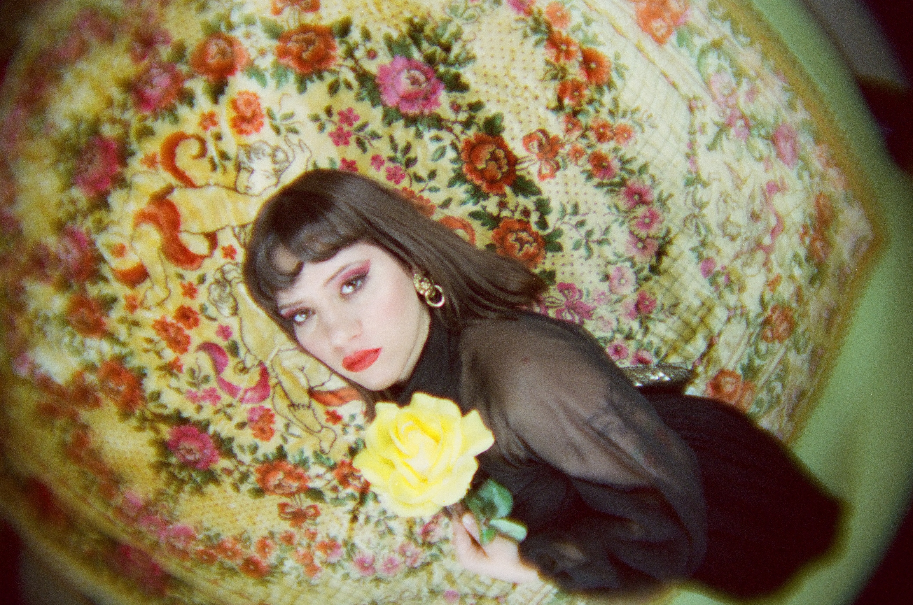 Le conte de fées de Vanille 