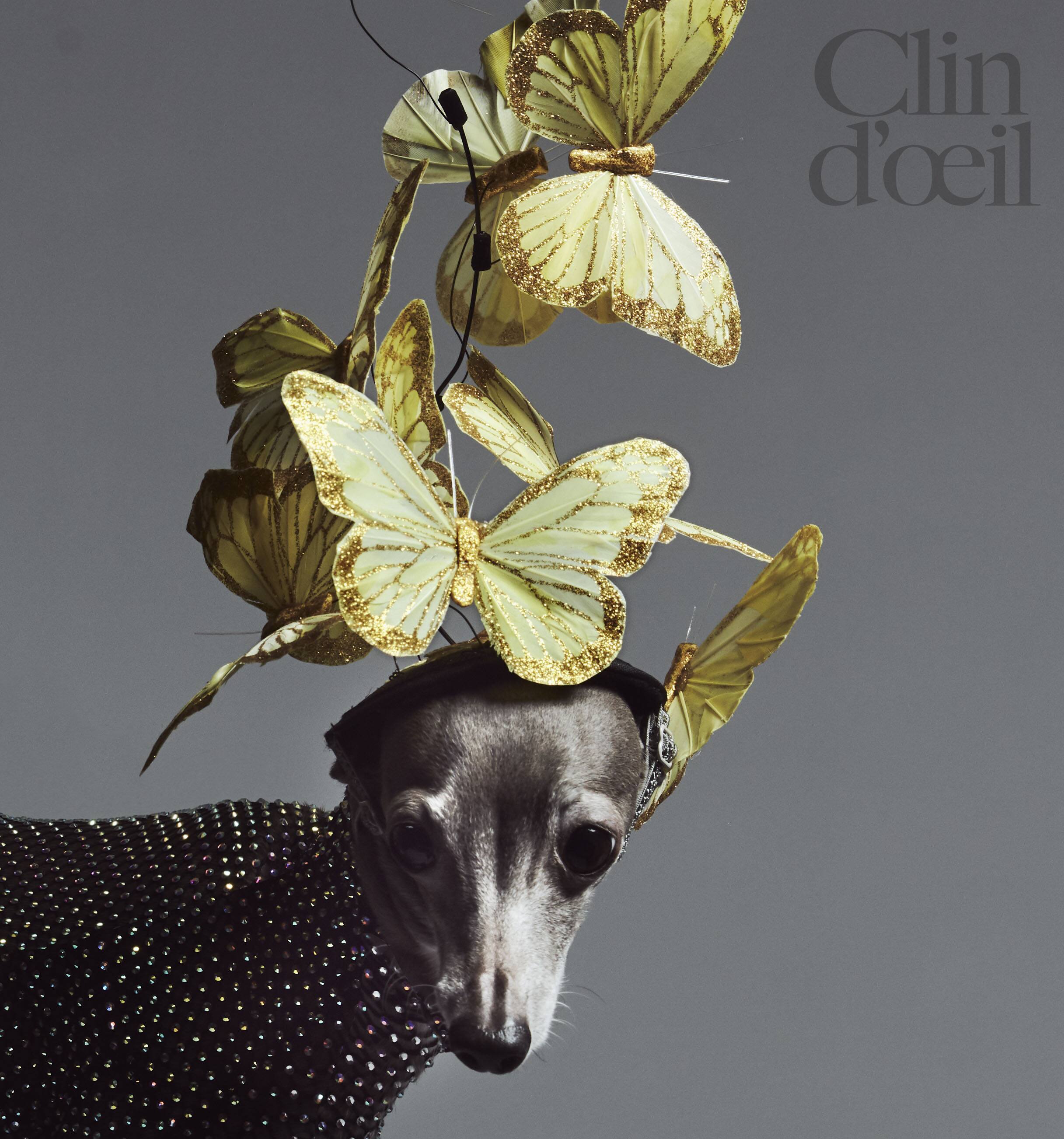 Tika Top Modele De Nos Coeurs Clin D œil