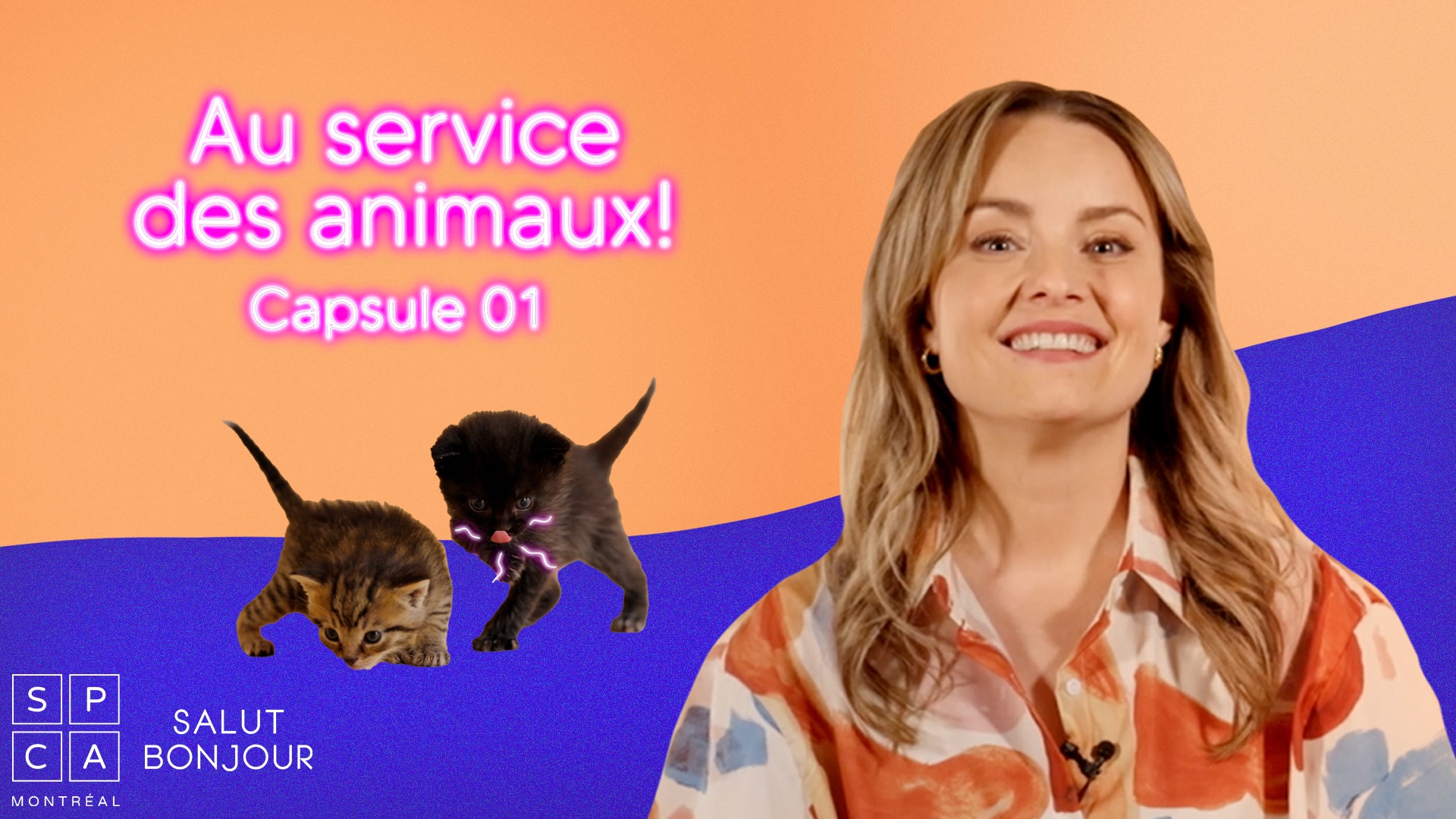 Quoi faire si vous trouvez des chatons orphelins? 