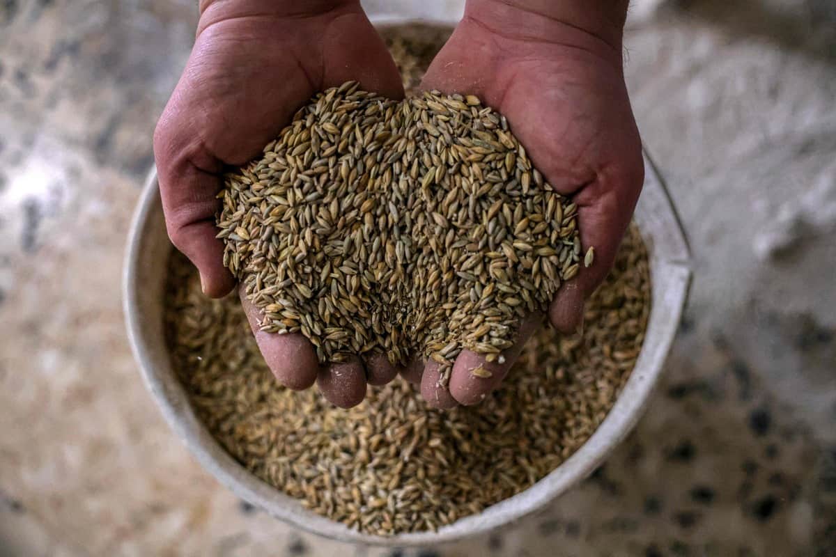 Le secteur des grains s&egrave;me ses attentes &eacute;lectorales 2022