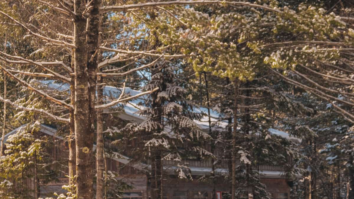 Forêt Ô Cascades: patin en forêt, raquette et fatbike à petit prix