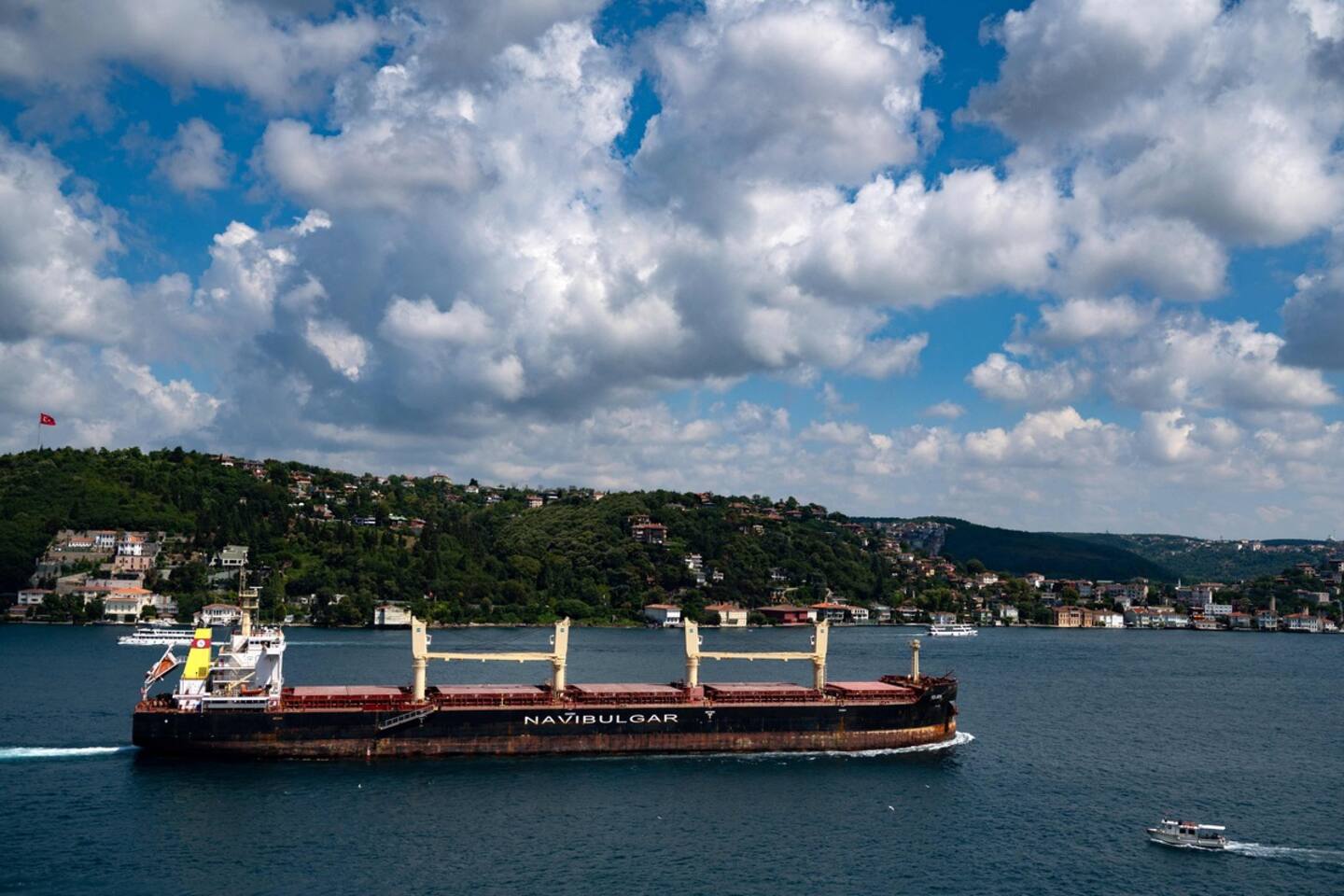 Deux nouveaux navires chargés de céréales quittent l’Ukraine