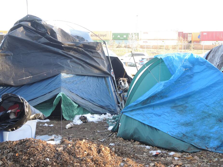 Image principale de l'article Des incidents survenus inquiètent des résidents