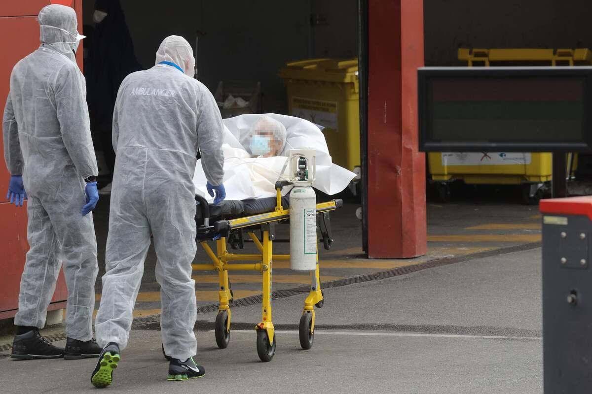 Retraite De Russie Nombre De Morts