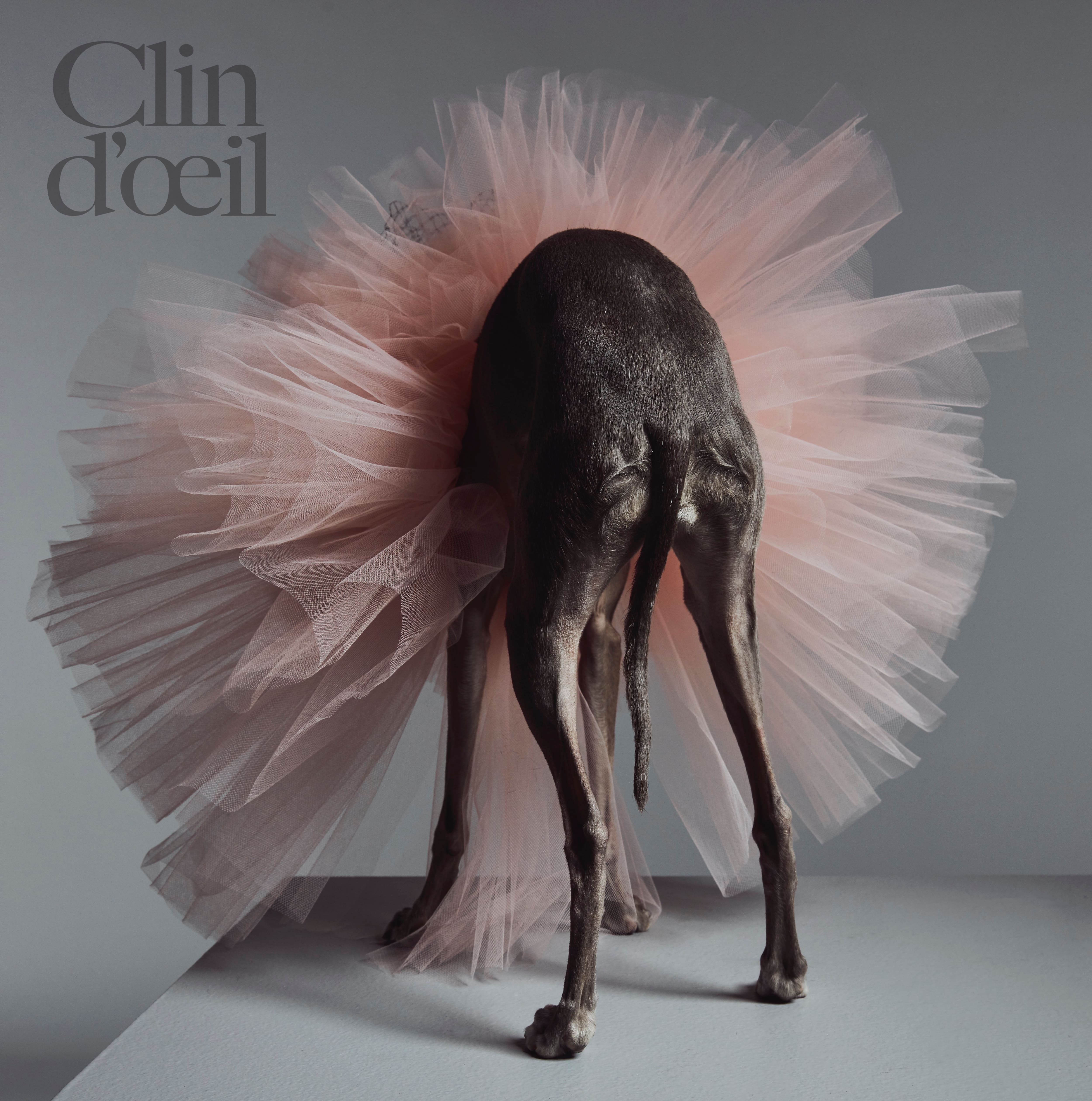 Tika The Iggy en couverture de notre magazine