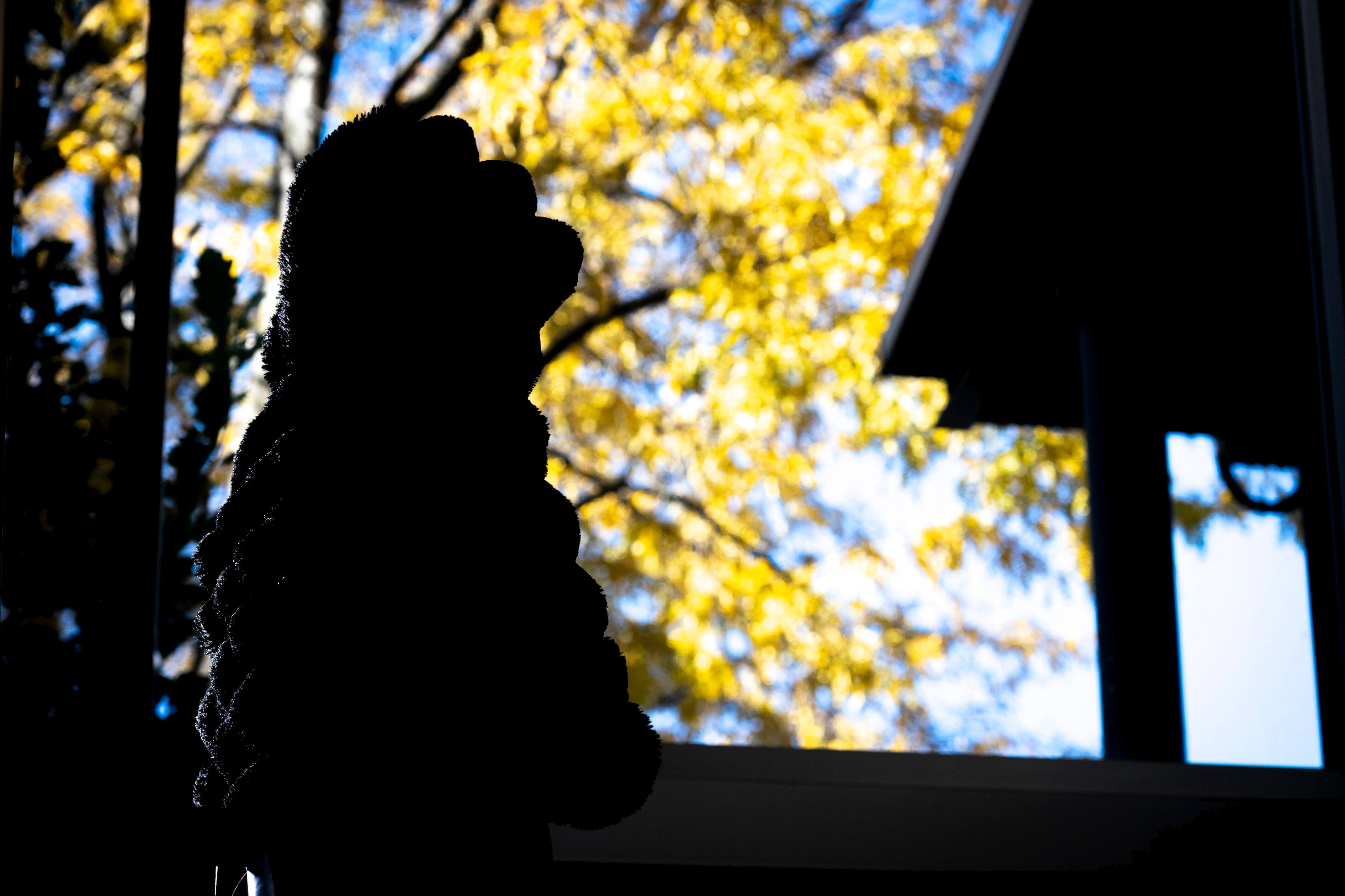 Photo Stevens LeBlanc