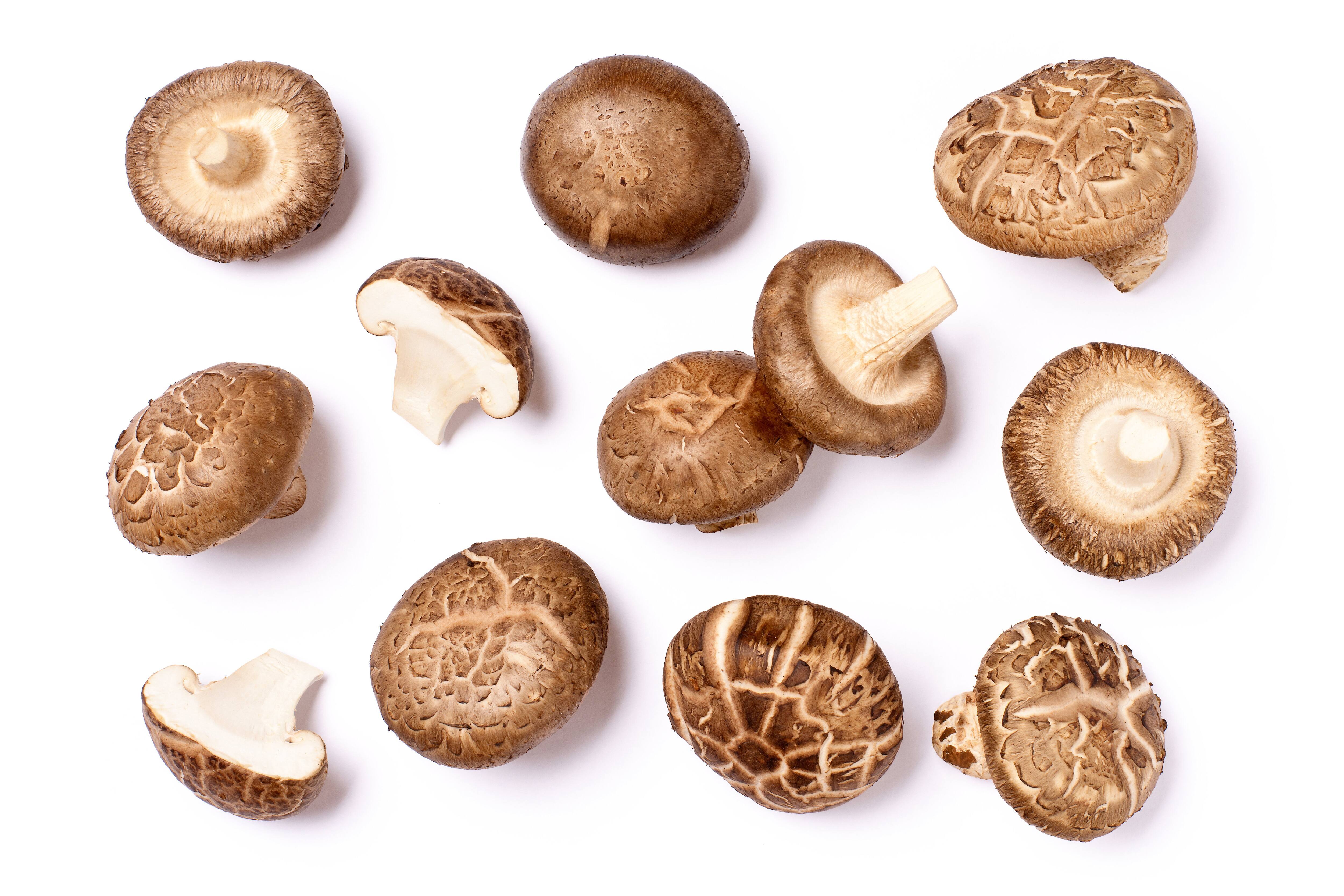 Les champignons medicinoux replisant-il leurs 的承诺？