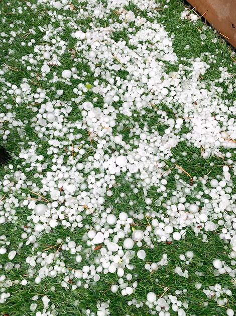 Facebook (Jacinde Bergeron) Facebook (Jacinde Bergeron)