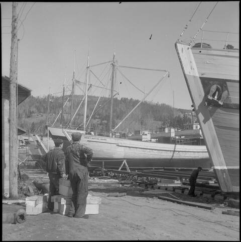 Réparations de la goélette Mont Notre-Dame avant la mise à l'eau au printemps. Chantier naval de Charlevoix à Saint-Joseph-de-la-Rive, 1957.