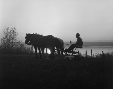 Herse à Saint-Michel dans le comté de Bellechasse, 1950.