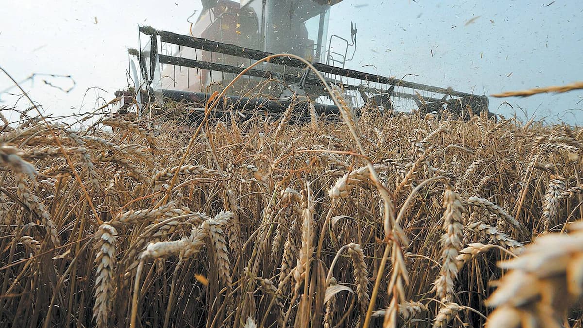 Céréales: Moscou accuse l'Occident d'agir en «destructeur»