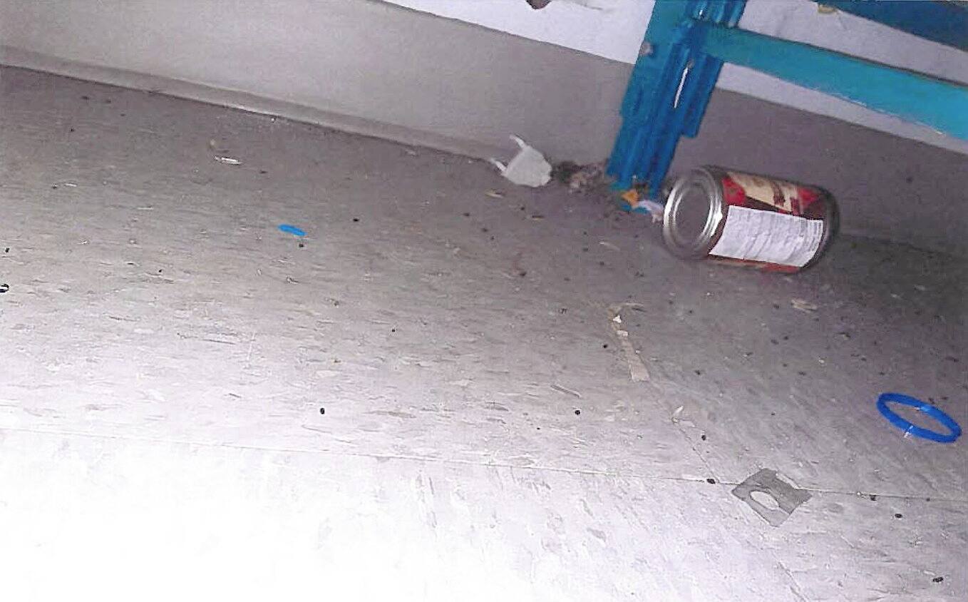 Salubrité alimentaire: eh oui, même Dollarama | JDQ