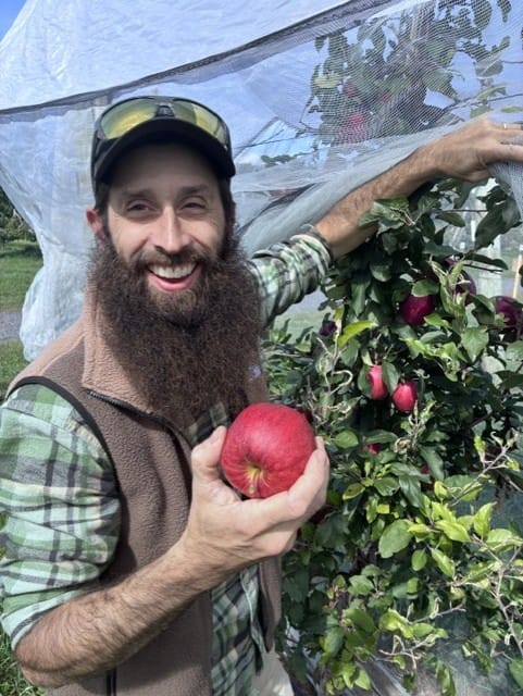 Cultiver des pommes sous des filets pour éviter les pesticides