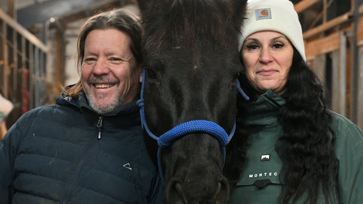 Tout sur le Ranch à Franky et ses chevaux entraînés pour la télévision et le cinéma à Saint-Eustache