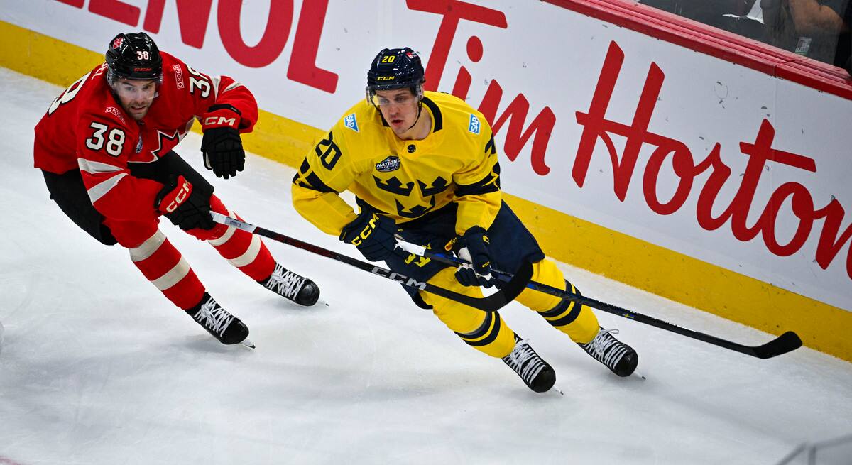 Confrontation des 4 nations: tous les scénarios pour la finale | JDQ