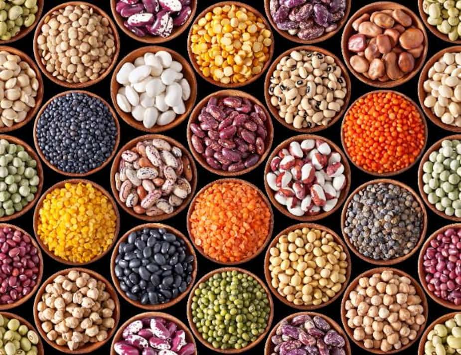 Image principale de l'article La viande trop chère? Voici par quoi la remplacer