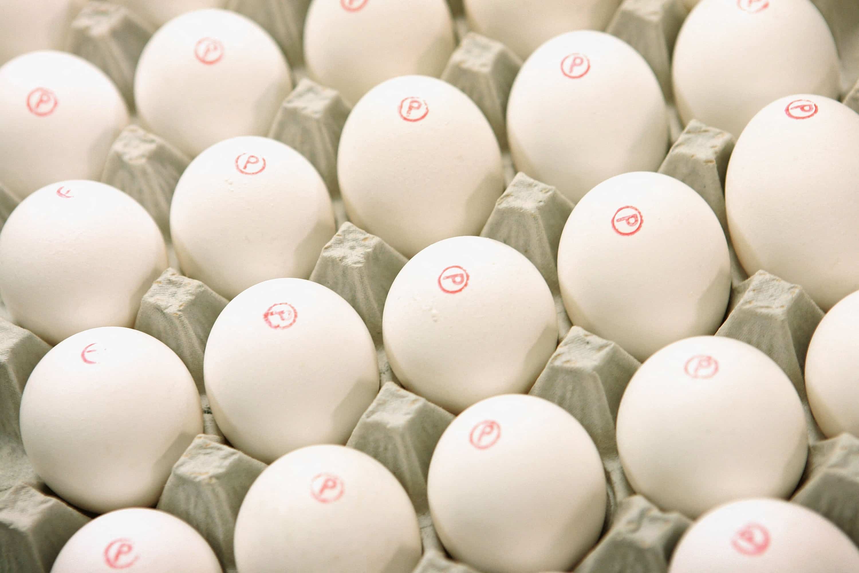 Comment savoir si un œuf est frais Le Journal de Montréal