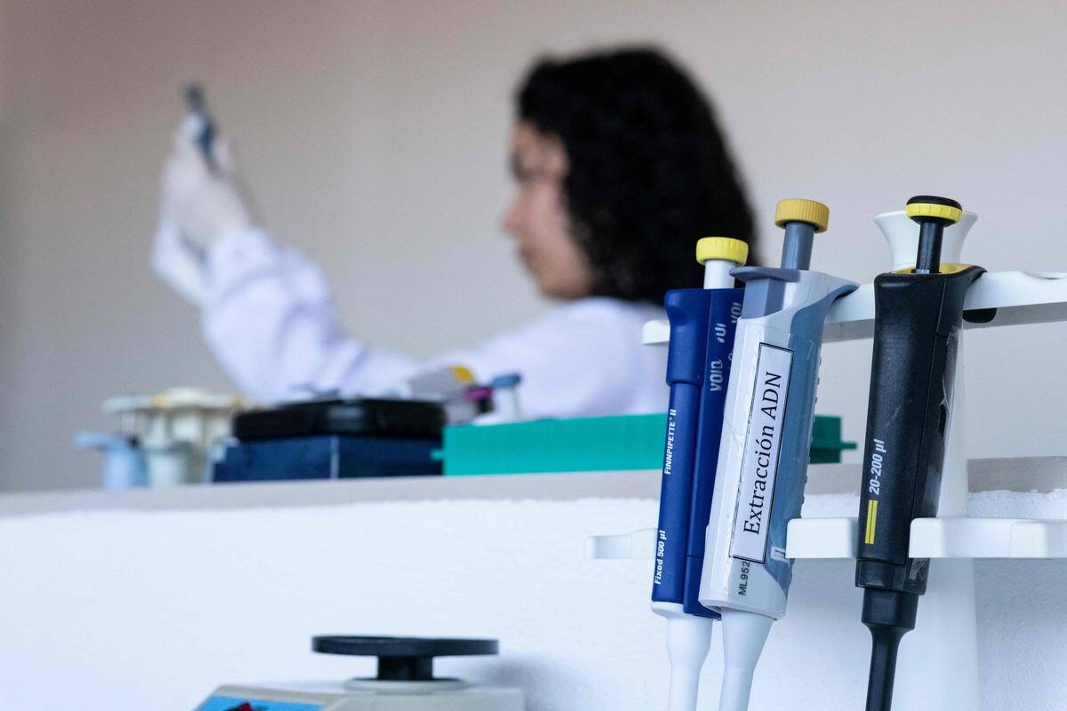 Du caf&eacute; qu&eacute;b&eacute;cois produit en laboratoire?