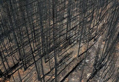 İklim değişikliği: bir dizi felaket