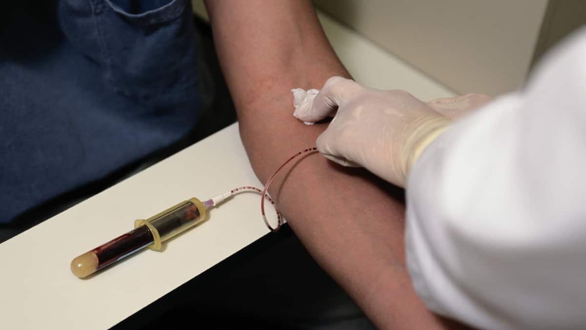 6 pays où les homosexuels peuvent désormais faire un don de sang