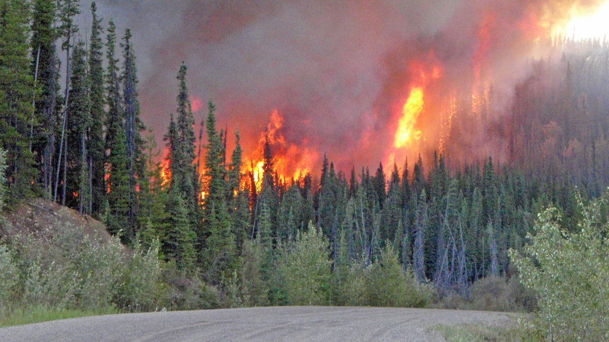 Incendies de forêt: nouvelles restrictions sur les feux à ciel ouvert au Québec