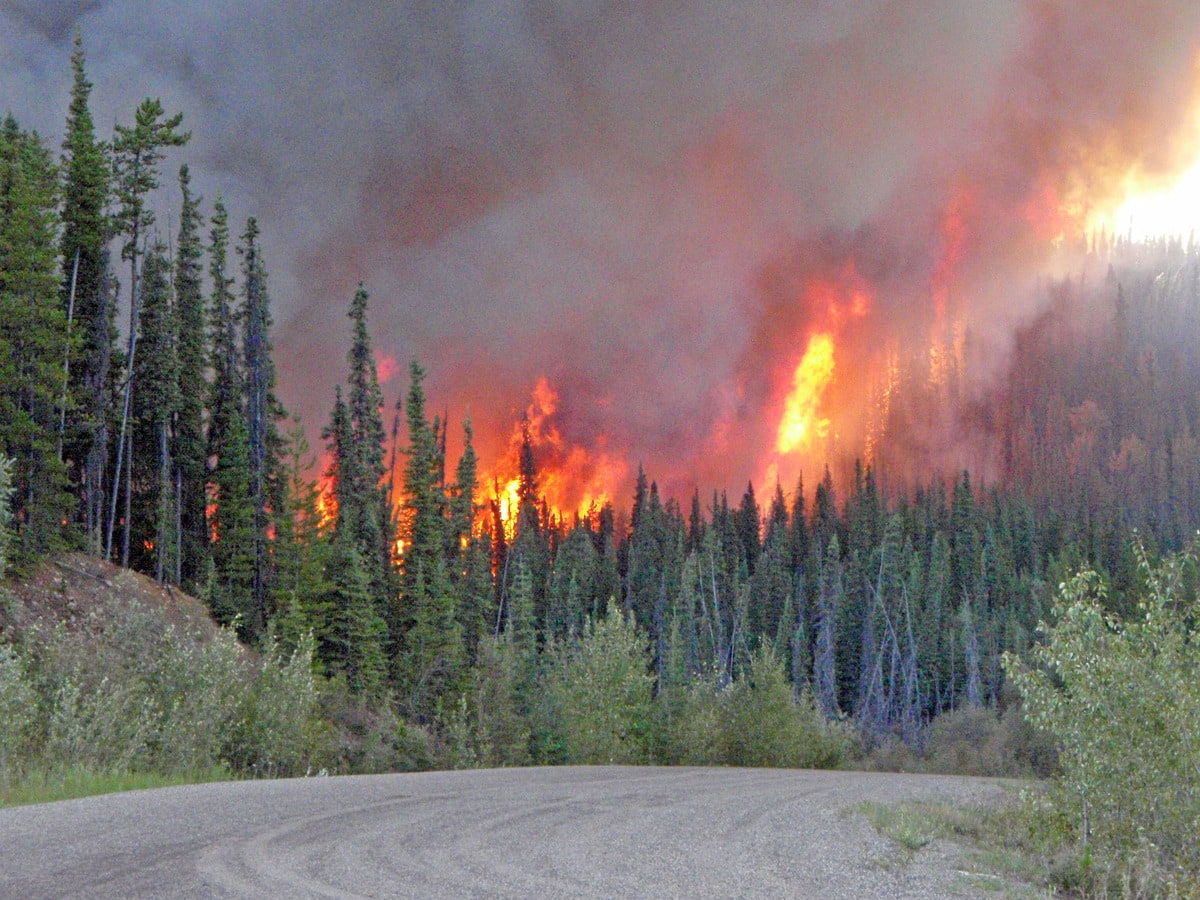 Feux de forêt les évacuations se poursuivent dans l'ouest du Canada JDQ