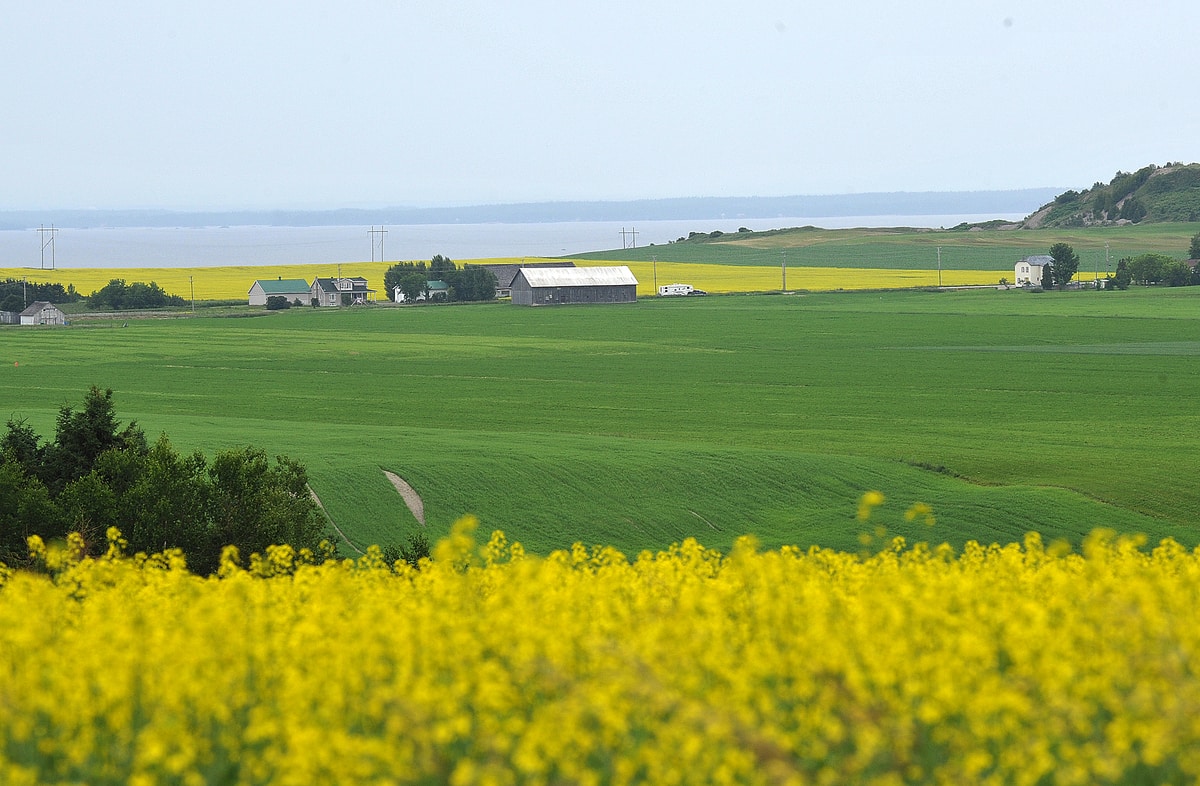 Hausse de l’épandage de pesticides dangereux dans nos champs depuis 20 ans