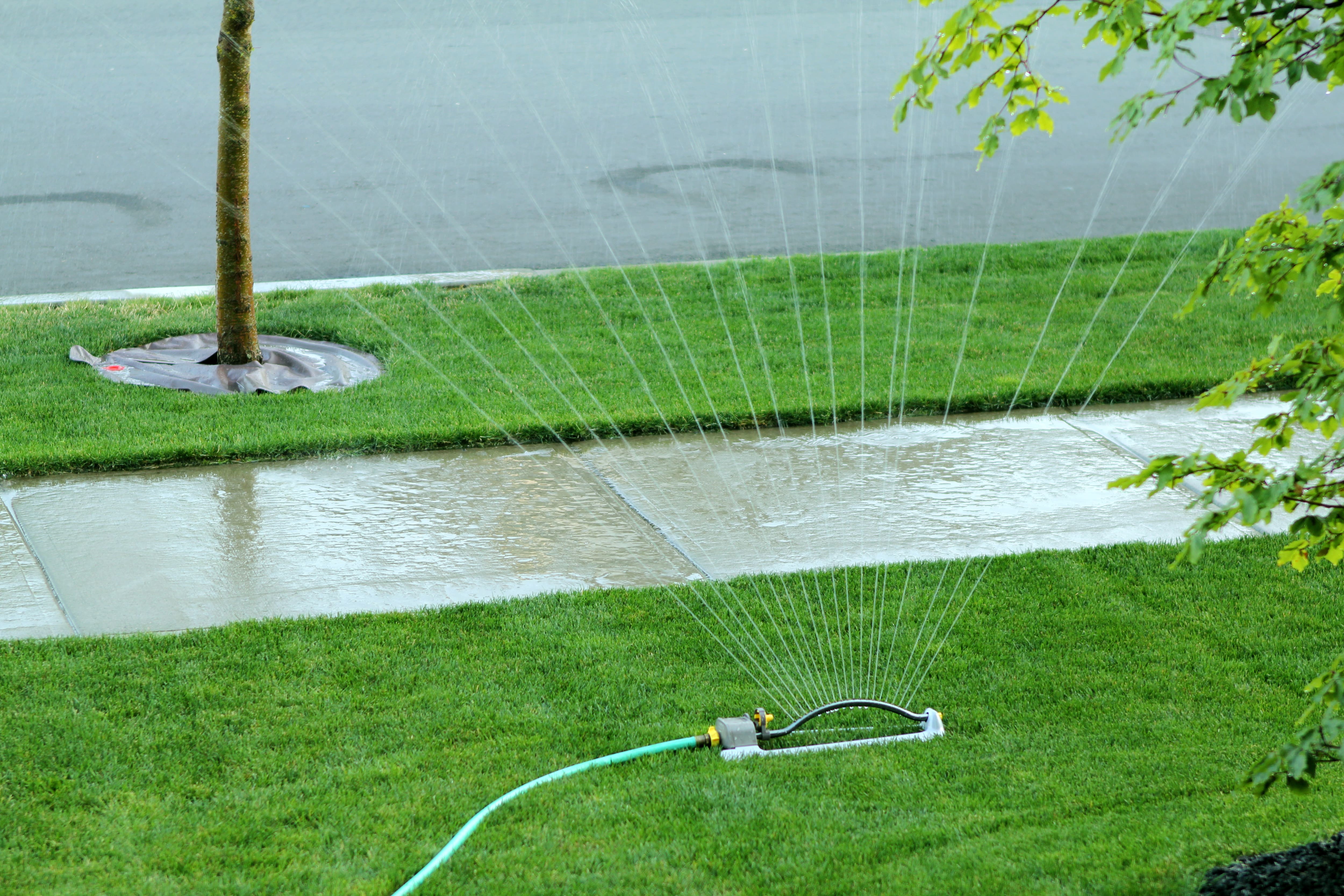 Fin de l’interdiction d’arrosage à Longueuil et Montréal TVA Nouvelles