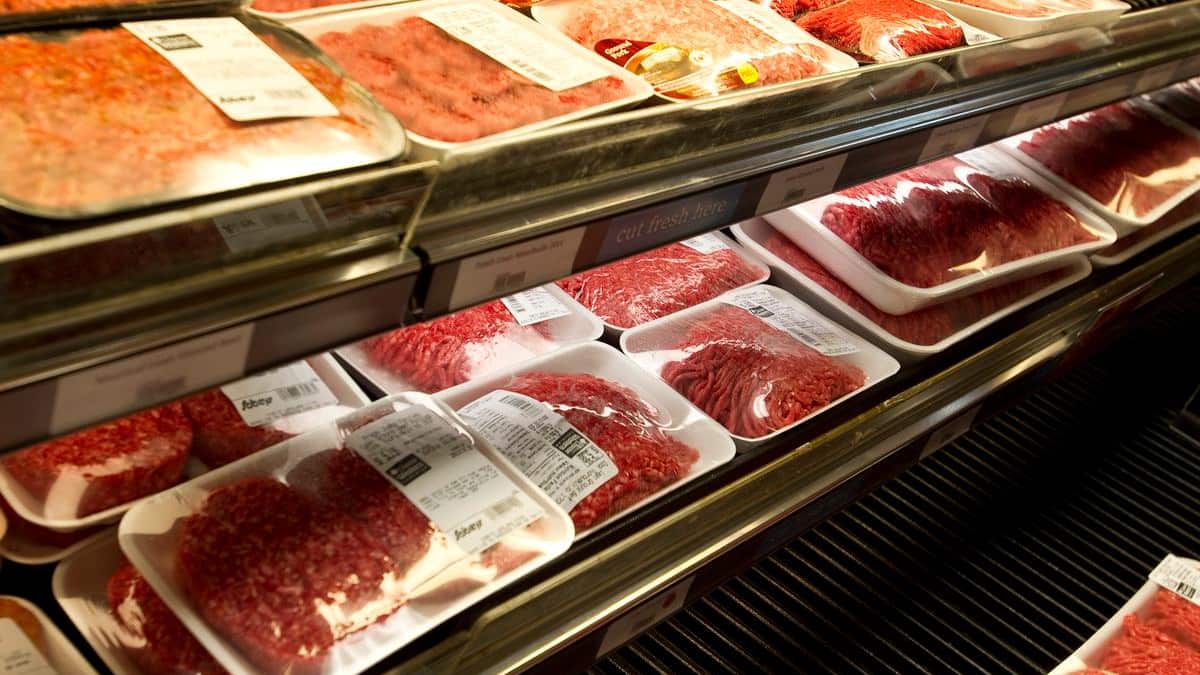 N’attendez Pas Une Baisse Du Prix Du Bœuf Avant 2027 | JDM