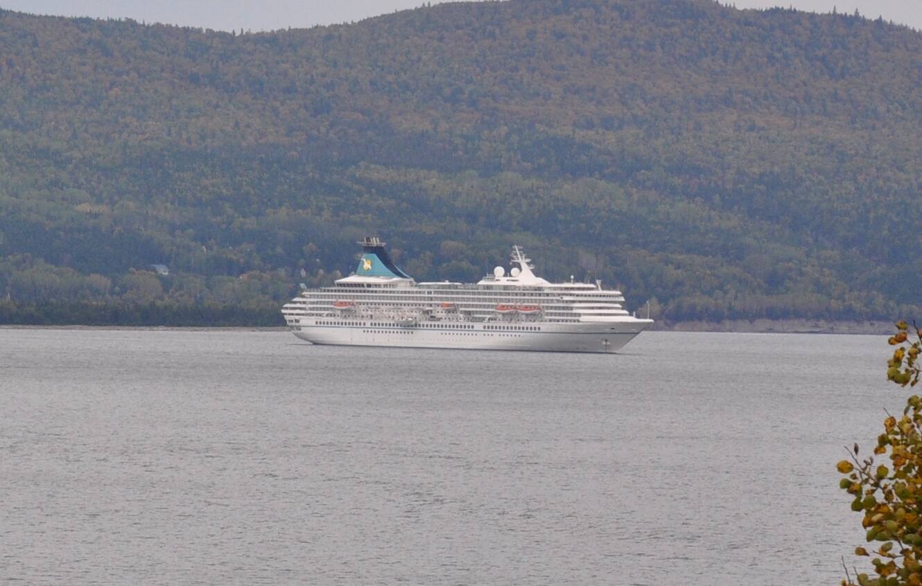 Covid 19 En Australie Un Paquebot Recoit L Ordre De Partir Jdm