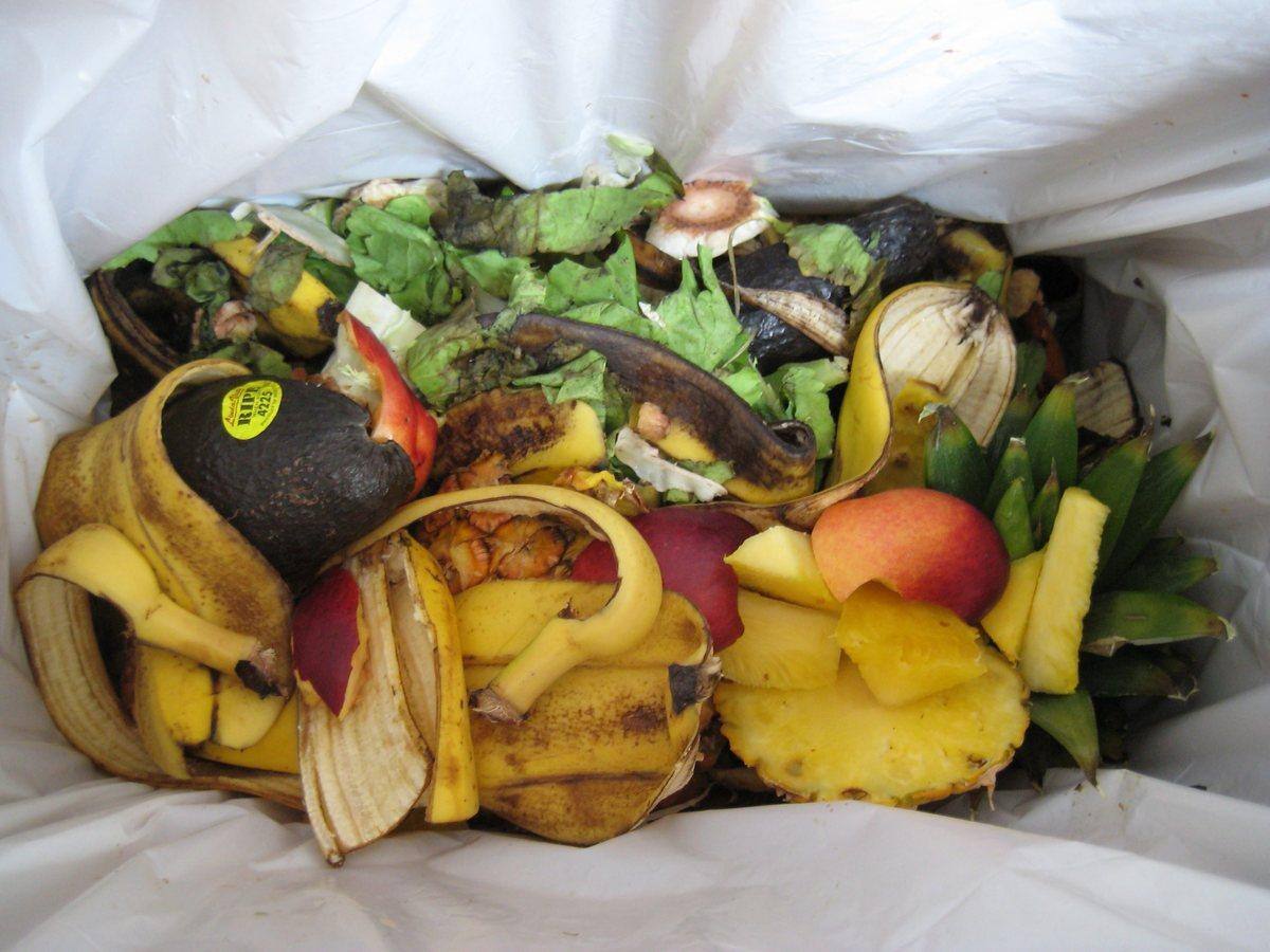 Matières organiques: du compost à travers la province d'ici 2025 | JDQ