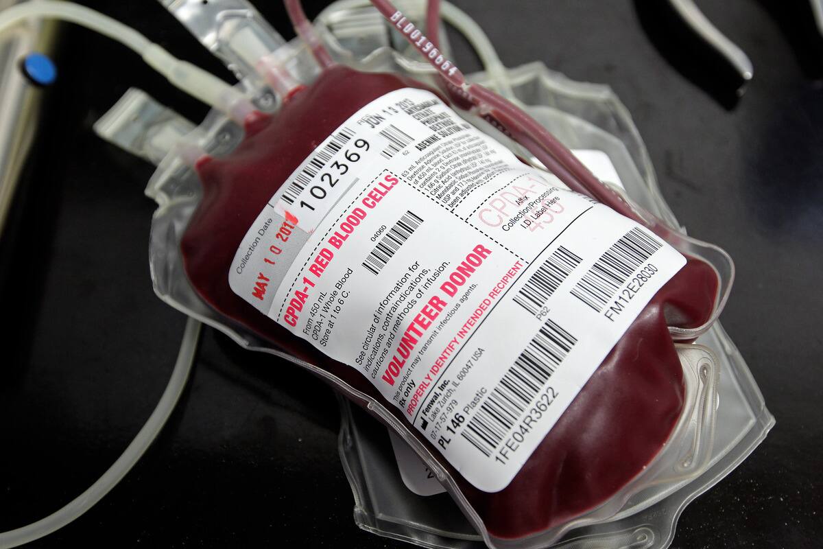 Dons de sang: plaidoyer pour lever l&rsquo;interdiction faite aux hommes gais