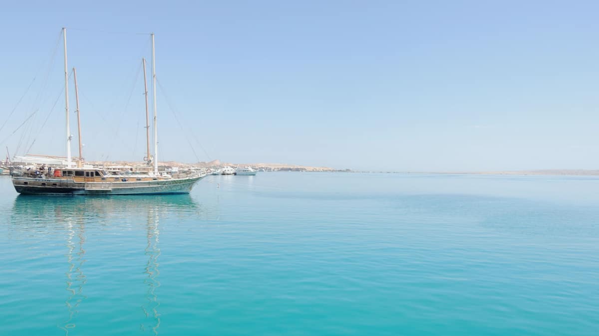 Deux femmes tuées par un requin en mer Rouge en Égypte
