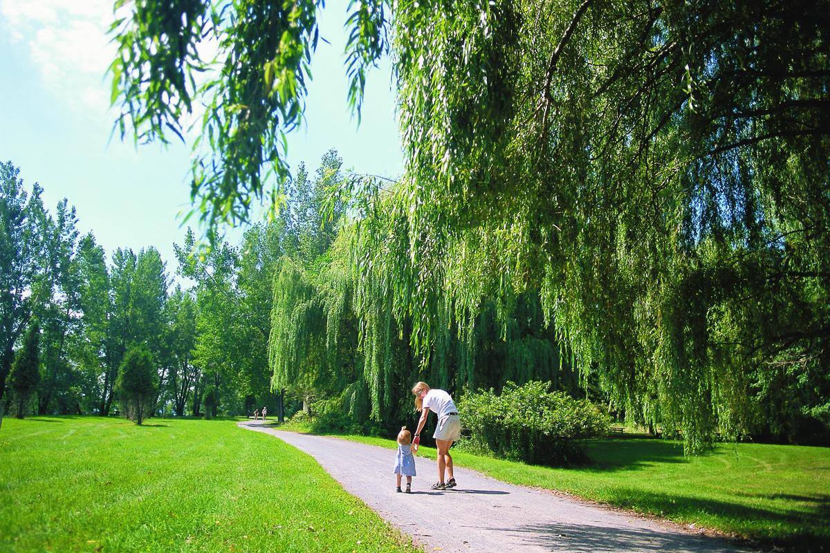 Grand Montr&eacute;al: la CMM veut mieux prot&eacute;ger les milieux naturels