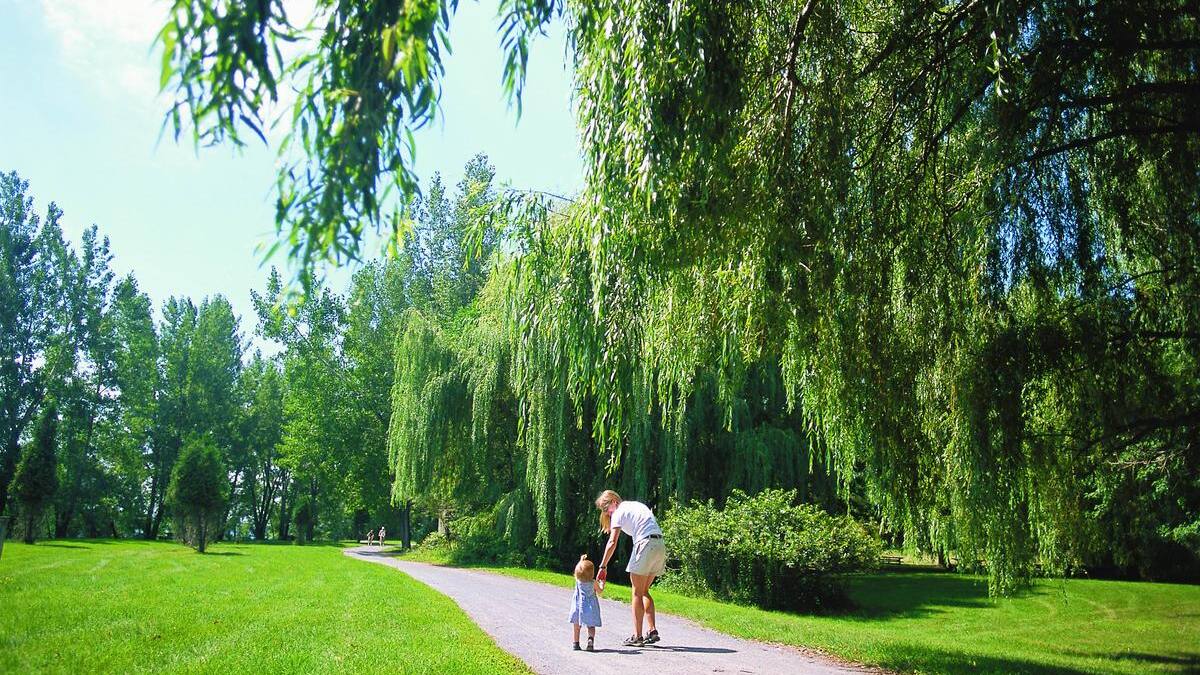 Grand Montréal: la CMM veut mieux protéger les milieux naturels