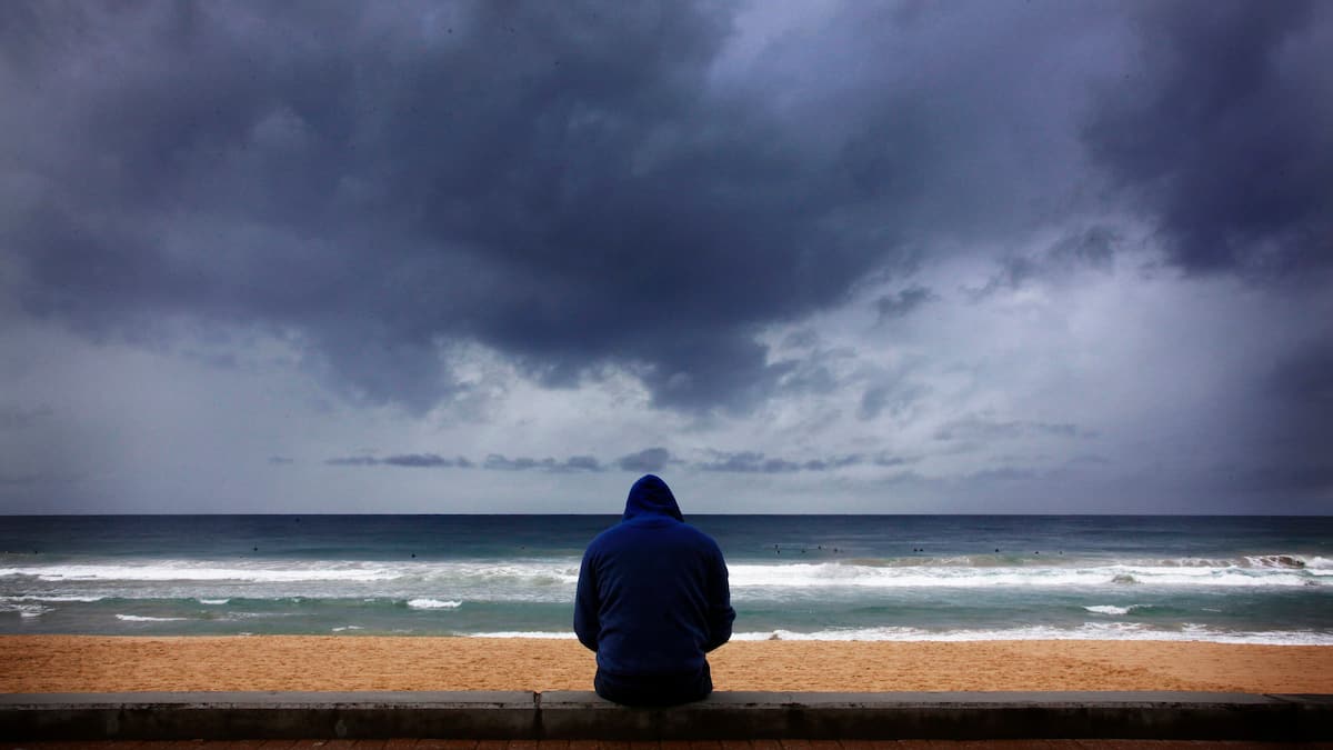 Food prices fall, but El Niño threatens Food prices fall, but El Niño threatens