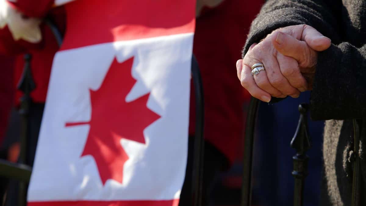 Gênés D’être Américains, Des Touristes Se Font Passer Pour Des Cana...