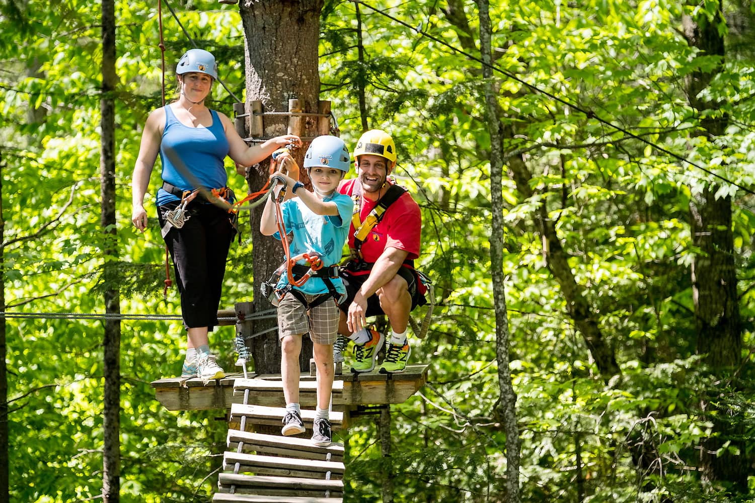 Les parcs Arbraska pour s’amuser dans les arbres et explorer | JDQ