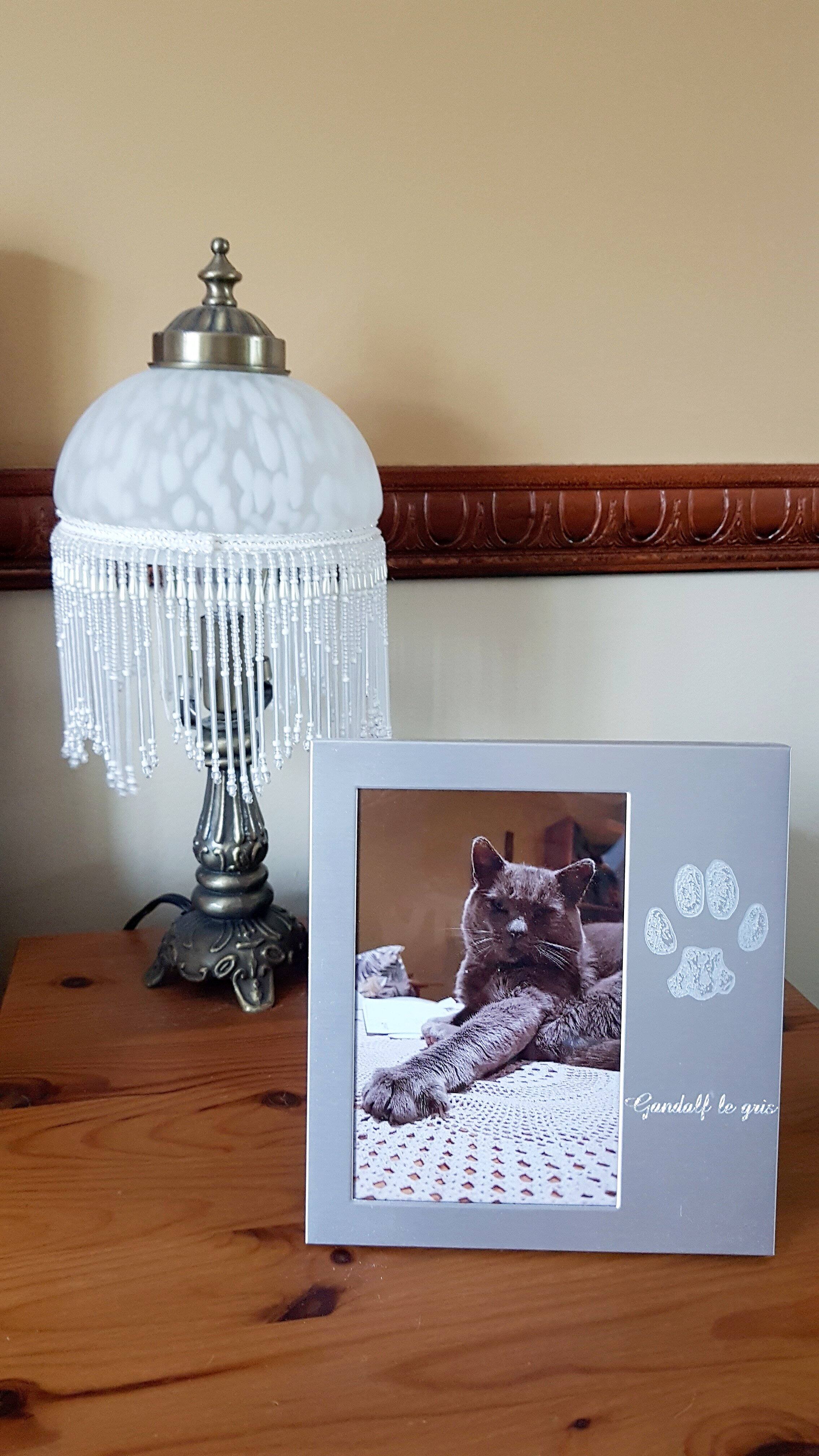 Des id&eacute;es d&rsquo;objets comm&eacute;moratifs et de souvenirs de nos animaux de compagnie